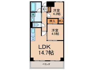 ドルフの物件間取画像